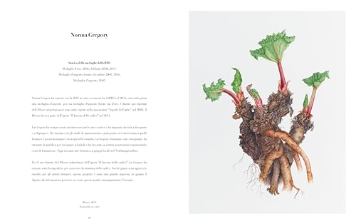 Illustrazione Botanica. Ediz. Illustrata - 6