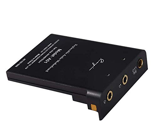 Amazon.co.jp: Cayin A01オーディオマザーボード・AK 4497EQ DAC