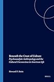 Beneath the Crust of Culture: Psychoanalytic Anthropology and the Cultural Unconscious in American Life (Contemporary Psychoanalytic Studies)