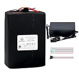BtrPower 60V 25AH LiFePO4 Ebike Battery Pack for 1800W-250W Motor, Built-in 50A BMS and 5A Fast Charger