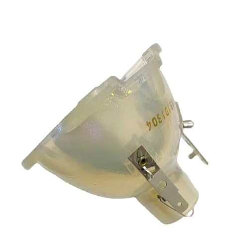 Ampoule nue BL-FU365A pour équiper les salles de conférence WU515 et EH515