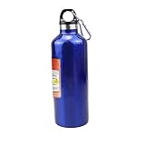 Thermoses Water Bottle Stainless Thermos 17oz Nitrogen Bottle Type Thermal Cold Insulation Reusable Sports Water Bottles Leak Proof Carabiner Included Easy to Carry Work Sports Outdoors Hiking(Blue)