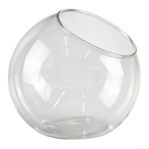 Terrarium élégant en verre borosilicate transparent avec ouverture ouverte pour plantes grasses, fleurs, bougies chauffe-plat ou bougies, plusieurs tailles...
