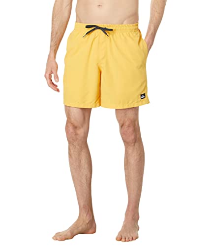 Quiksilver Men's Standard Everyday 17 Volley Swim Trunk Boardshort