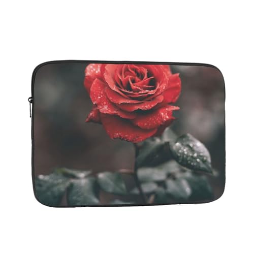 Ή [Yt[vg 12 Inch PcP[X Pc[Jo m[gp\R P[X ʋ ʊw yʃp\RobO