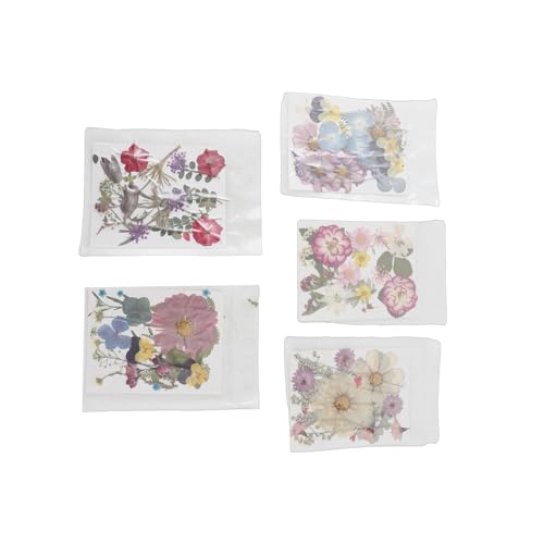 Flores prensadas secas para manualidades X5 bolsas miniatura 2