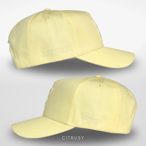 Image of Vintage Fashion Trucker Hat | Men & Women | Trendy Cute Retro Red Caps for Country & Western | Camo Fur Cotton | Snapback
