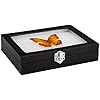 Amazon.com - Juvale Insect Display Case - 8 x 6 x 1.8 in, Black - Glass ...