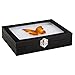 Juvale Insect Display Case - 8 x 6 x 1.8 in, Black - Glass Top & Removable Foam Pinning Board - Bug Display Box & Specimen Case for Butterflies, Moths & Other Insects