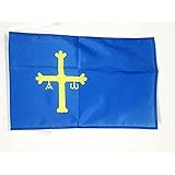 AZ FLAG