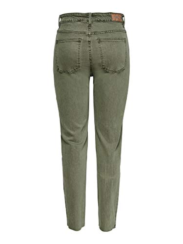 Only ONLEMILY Life HW ST Raw CRPANK col Noos