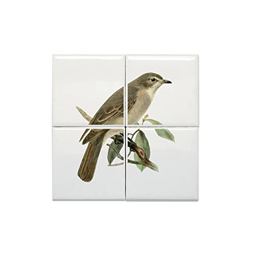 Carreaux Céramique Oiseau Perché Planche Biologie Faune Rétro