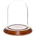 Plymor 3" x 4" Glass Display Dome Cloche (Walnut Veneer Base)