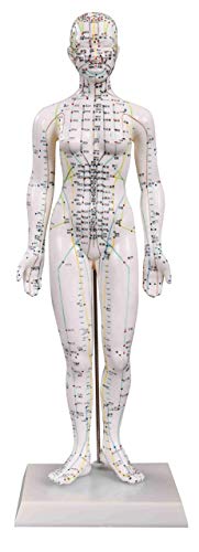 Female Acupuncture Model 19\" with Chinese and English Points