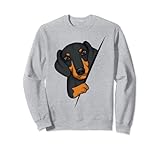Süße Dackel Hunde Design Geschenke