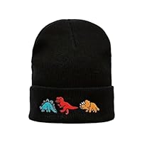Boys Winter Hat Dinosaur Embroidered Wooly Beanie Suitable for Age 2-7 Multicolour