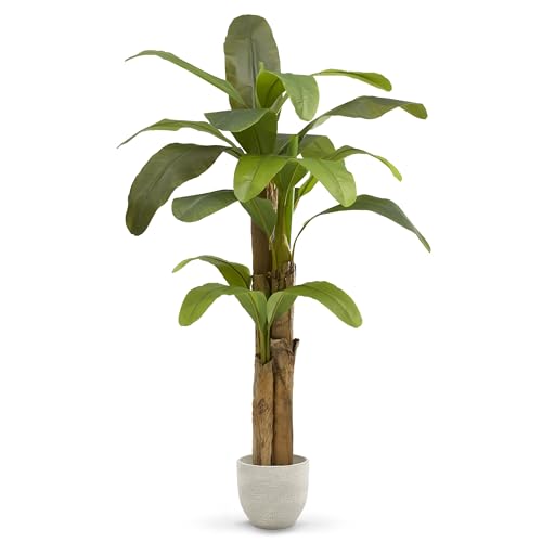 MAIA SHOP Platanera Artificial 180 cm con Tronco Natural – Planta Artificial Realista, Árbol Decorativo Tropical para Hogar, Oficinas y Espacios Comerciales