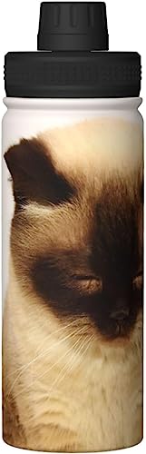 킢 L L(1)  ^fM ۉ ۗ X|[c{g lC XeX{g X|[cΉ RȂ 530ml j̎q ̎q  l q Aj ObY LN^[ v[g dk61