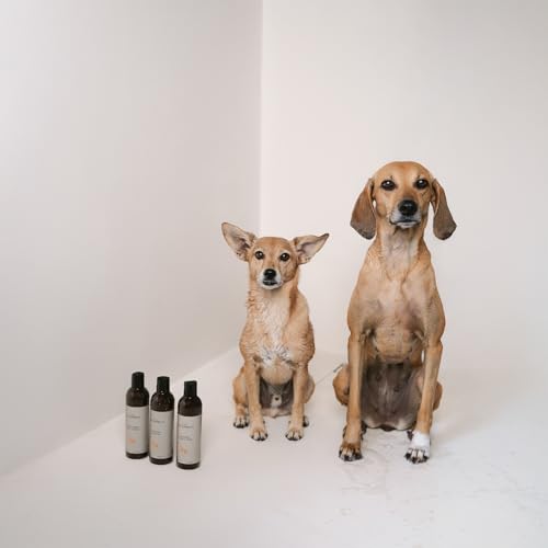 Shampoo für Hunde - natürliche Fellpflege, mit Argan- und Lavendelöl, vegan, ohne Parabene, ohne Parfum & ohne Silikon, SHAMPOO SHINE & COMB von LILA LOVES IT, 250 ml