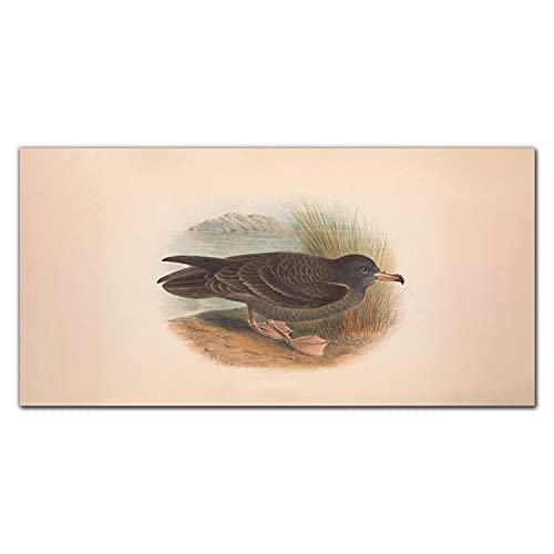 Décoration murale en verre 100x50cm Coloray : dites adieu aux tableaux ternes qui prennent la poussière