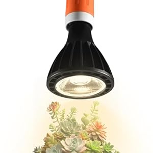 Generisch Pflanzenlampe Vollspektrum für Innenbereich