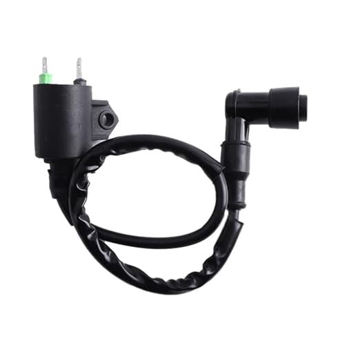 Bobine allumage moto pour Kawasaki KFX700 et Brute Force 650 750