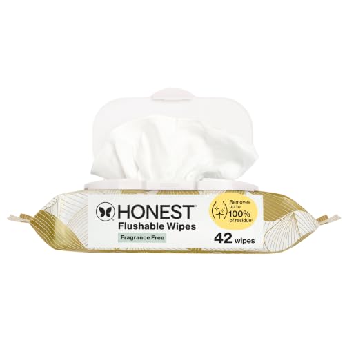 The Honest Company Flushable Wipes, Hypoallergenic, Gilded Wings, 42 Count