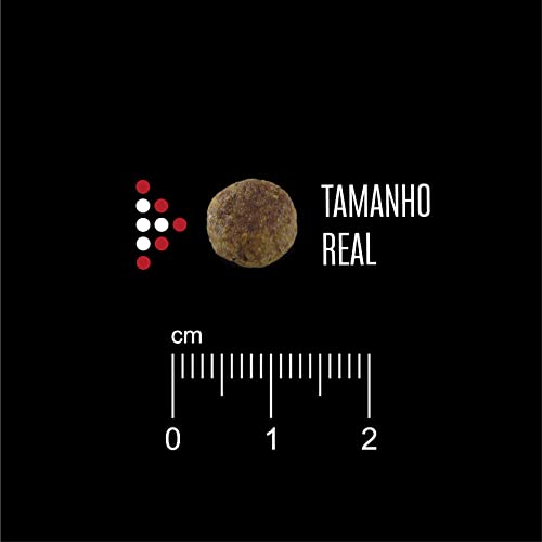 RAÇÃO CÃES EQUILIBRIO RAÇAS MÉDIAS ADULTO CARNE 12KG