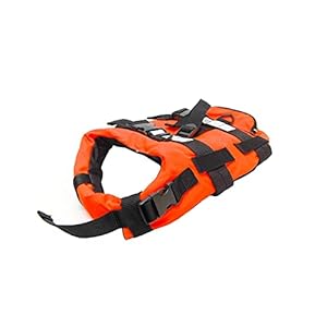 Dog Lifejacket, Orange, Medium