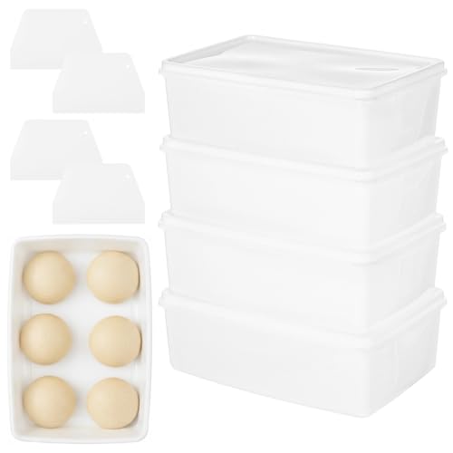 pizza dough container