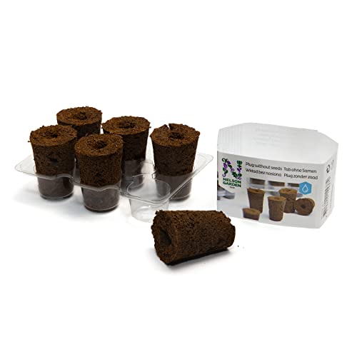 Nelson Garden 1933 Basilicum Pluggen - 6 stuks gemakkelijk te gebruiken basilicumplantpods voor je kruidentuin… - Image 3
