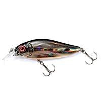 Amazon.co.jp: メガバス(Megabass) FLAP SLAP(SP-C) FA ITOカワムツ