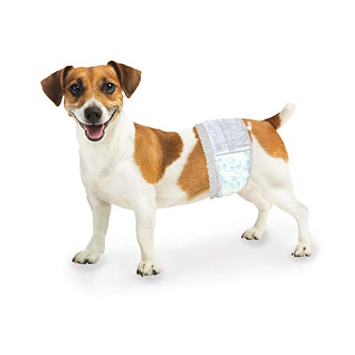 Image of Four Paws Wee-Wee Super Absorbent Disposable Adjustable Dog Potty Training Male Wraps Diapers, Leak-Proof Protection for Puppies and Small Dogs, Extra Small, 36 Count (Pack of 8)