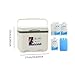 Menolana Camping Cooler, Ice Box Chest, for Freeze/Hot Food 6 L with Ice Pack Cold Storage Case for Yard Camping Beach Hiking Fishing, White