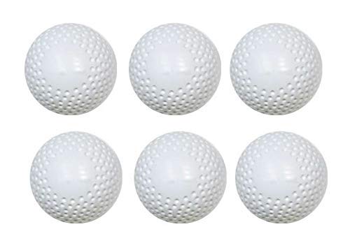 TRUBIOLOGY Sports Dimple Hockey Ball (Pack of 6, White) Hockey Ball (B0C3D6YK1W) Amazon Price History, Amazon Price Tracker