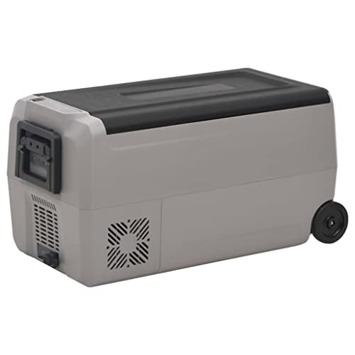 Nevera con rueda y asa, color negro y gris, 60 L, polipropileno y polietileno