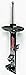 FCS 331711L Suspension Strut