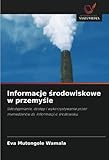  Informacje środowiskowe w przemyśle: Udostępnianie, dostęp i wykorzystywanie przez menedżerów ds. Informacji o środowisku: Udost¿pnianie, dost¿p i ... przez mened¿erów ds. Informacji o ¿rodowisku