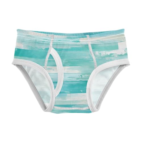 KLL Teal Turquoise Green Painted Wood Toddler Boys' Soft Underwear Cute Children Undies