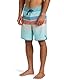 Quiksilver Everyday Stripe 19 - Boardshorts für Männer Blau