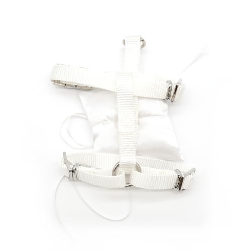 Croci Ceremony Hundegeschirr für Eheringe, H-Geschirr mit Ringkissen, für Hochzeit, verstellbar, Größe M/48-70 cm