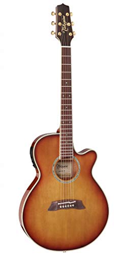 Takamine / TSP138C TB タカミネ エレアコ アコースティックギター