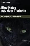  Eine Katze aus dem Tierheim: Ratgeber für Katzenfreunde, die einer Tierheimkatze ein Zuhause geben wollen