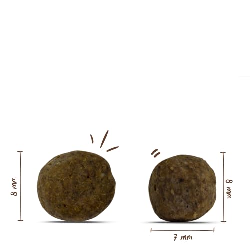 Bosch HPC Mini Adult mit frischem Geflügel & Hirse | Hundetrockenfutter für ausgewachsene Hunde Kleiner Rassen (bis 15 kg) | 1 x 3 kg (Packung mit 2)