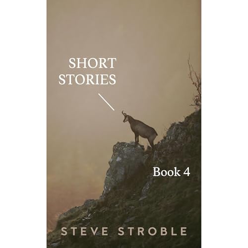 Short Stories Book 4 by Steve Stroble episode artwork