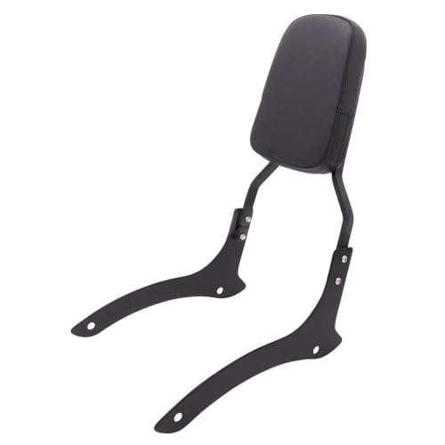 Dossier moto et coussin passager pour s'évader en V16 LF250-D