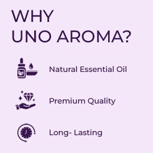 Image of UNOAROMA Active Fresh Car Air Freshener, Long Lasting Hanging car perfume, Toxin-Free Oil in Glass Bottle with Wooden Diffuser, Car Accessories for fresh aroma, Last Up to 60 Days (15mlx2)