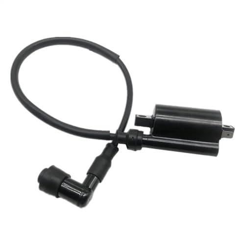 Lu^[KXPbg I[goC̐\i_΃RC_΃jbg GS125 GN125 GT125 EN125 Lu^[Lbg