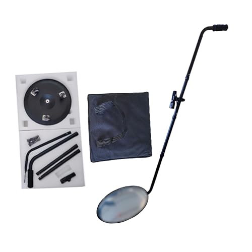 QccHieUs ]~[ @B~[ Ԃ̉̂܂p~[ Ԃ̏Ci̊ώ@, V3 a30cm