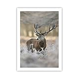 Wandposter Art Prints 50x70cm Poster ohne Rahmen Hirsch 